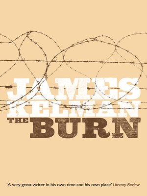 cover image of The Burn